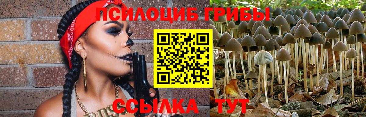 Тулун  Псилоцибиновые грибы мицелий  Галлюциногенные грибы Cubensis  Вход с VPN 